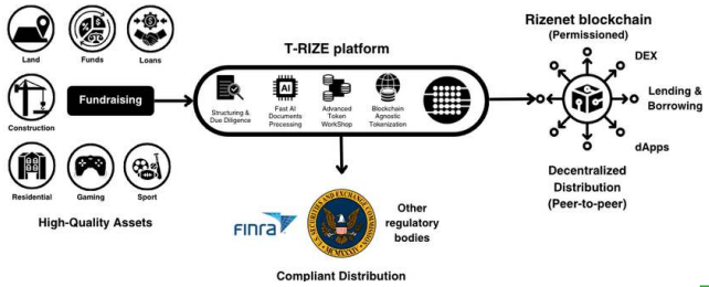 RIZE Token White Paper